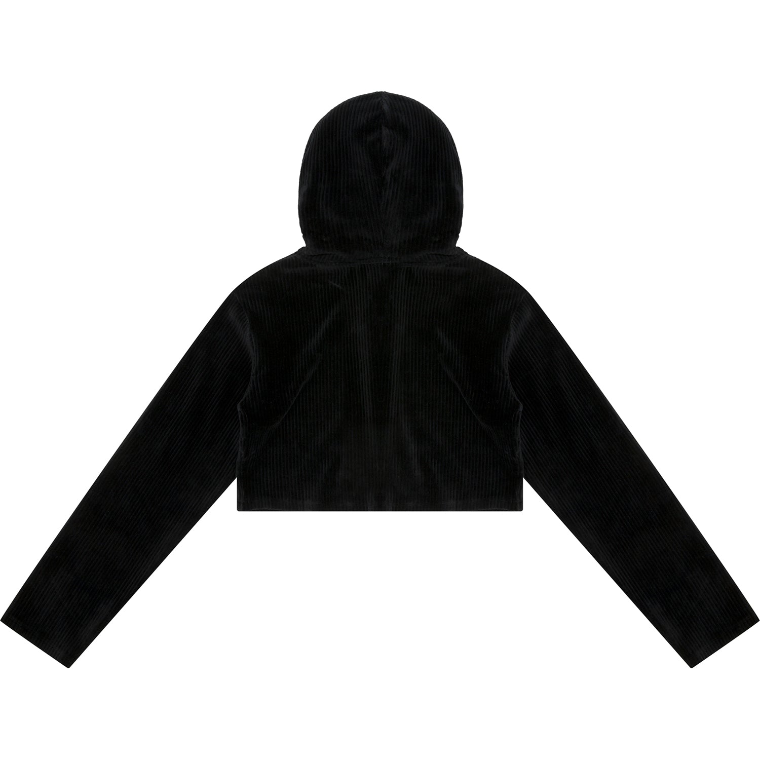 APEE CROPPED ZIP UP HOODIE LADIES